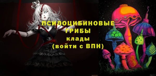 apvp Арсеньев