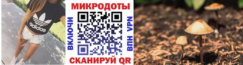 магазин продажи наркотиков  Катав-Ивановск  Галлюциногенные грибы Cubensis 